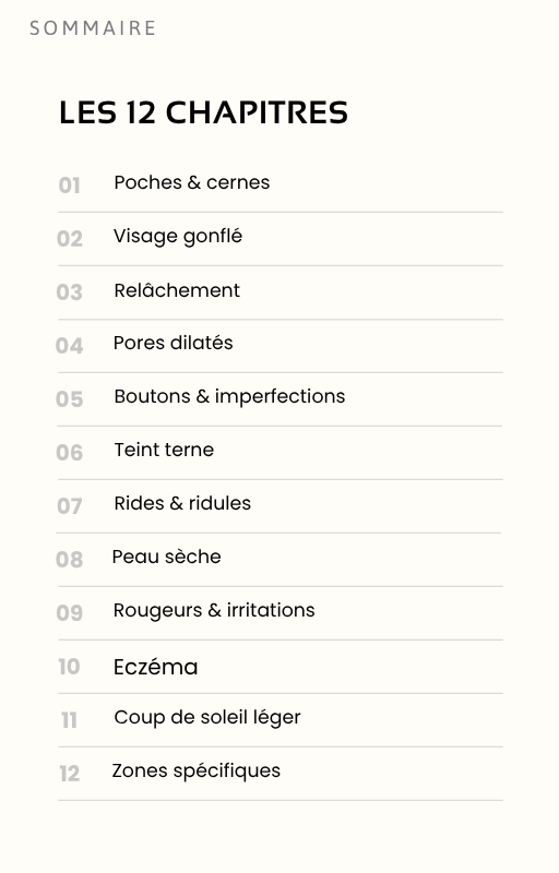L'Ebook Glacée | 50+ recettes & astuces