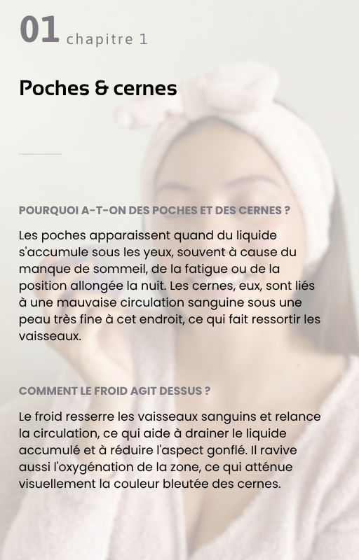 L'Ebook Glacée | 50+ recettes & astuces