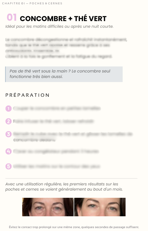 L'Ebook Glacée | 50+ recettes & astuces